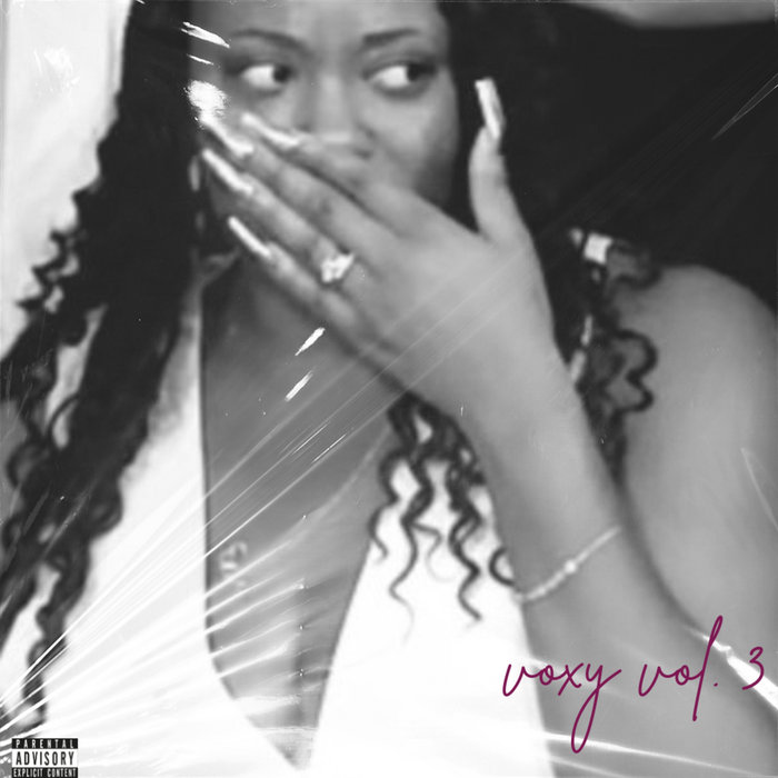 voxy vol. 3 voxybee
