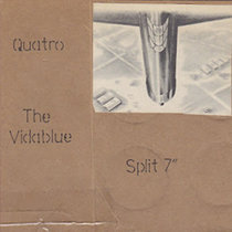 the Vida Blue - Patent #4,237,876 | the Vida Blue | 319 Dude the Vida Blue - Patent #4,237,876 | the Vida Blue | 319 Dude