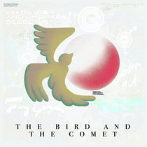 The Bird and the Comet cover art
