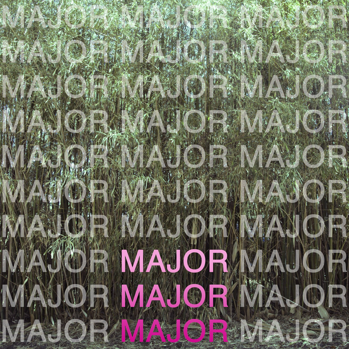 MAJOR MAJOR MAJOR MAJOR MAJOR MAJOR
