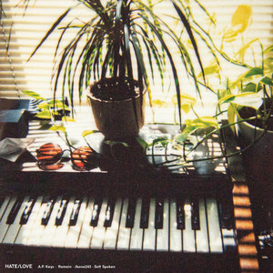 Hate/Love (feat. Romain & Jbone243)A.P. Keys & Soft Spoken cover