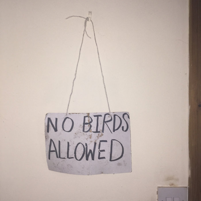 No Birds Allowed Territorial Gobbing