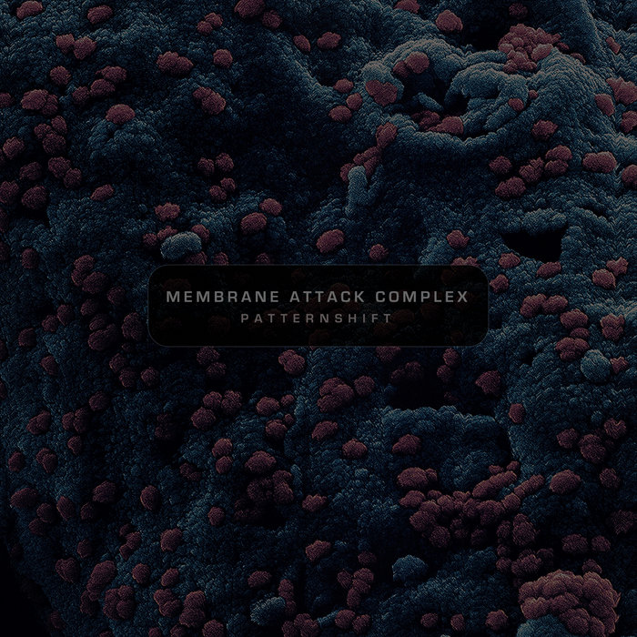 Membrane Attack Complex PatternShift