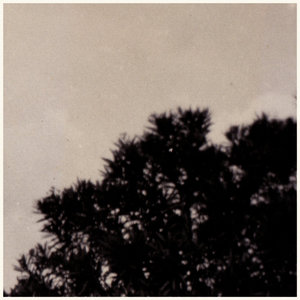 Coppice Halifax (Original 2005 Sessions) cover