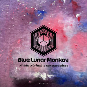 Infinite Indivisible Consciousness cover