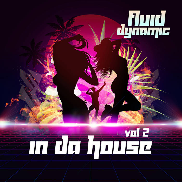 Fluid Dynamic  - In Da House Vol 2 album artwork