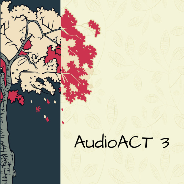 AudioACT 3 Grupo ACT