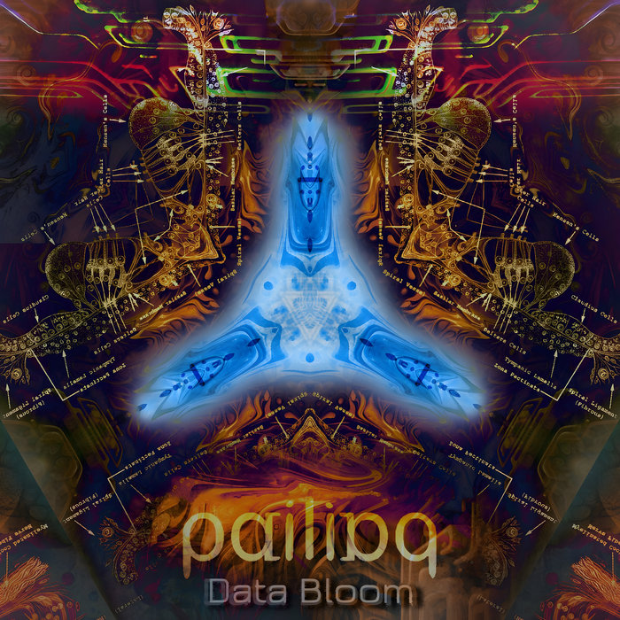 Data Bloom EP | pailiaq