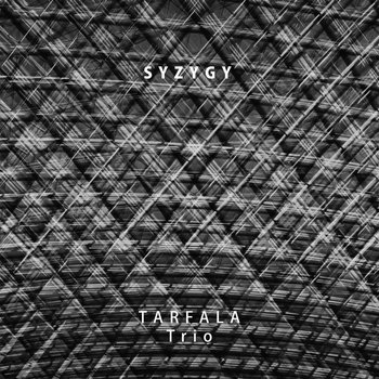 LP+EP Tarfala Trio/Syzygy テストプレス盤 Syzygy | Mats Gustafsson, Barry Guy, Raymond Strid - Tarfala Trio