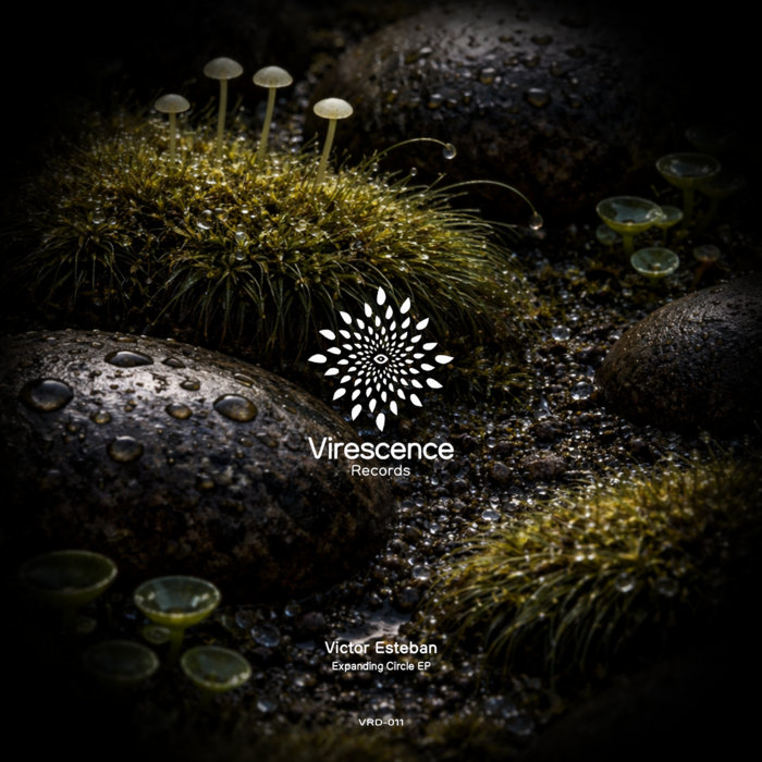 virescencerecords.bandcamp.com