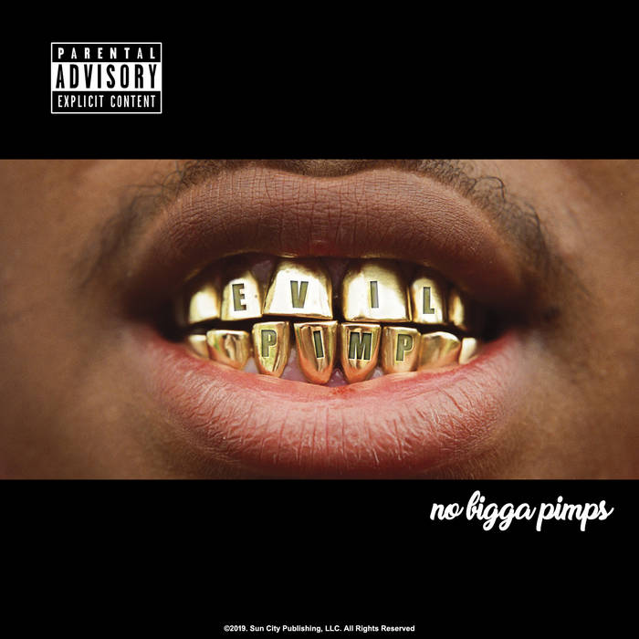 No Bigga Pimps | Evil Pimp | Sun City Publishing, LLC