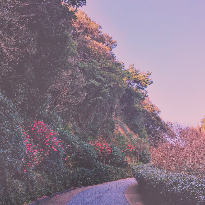 나들이 caged bird syndrome