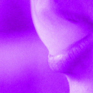 Moma cover