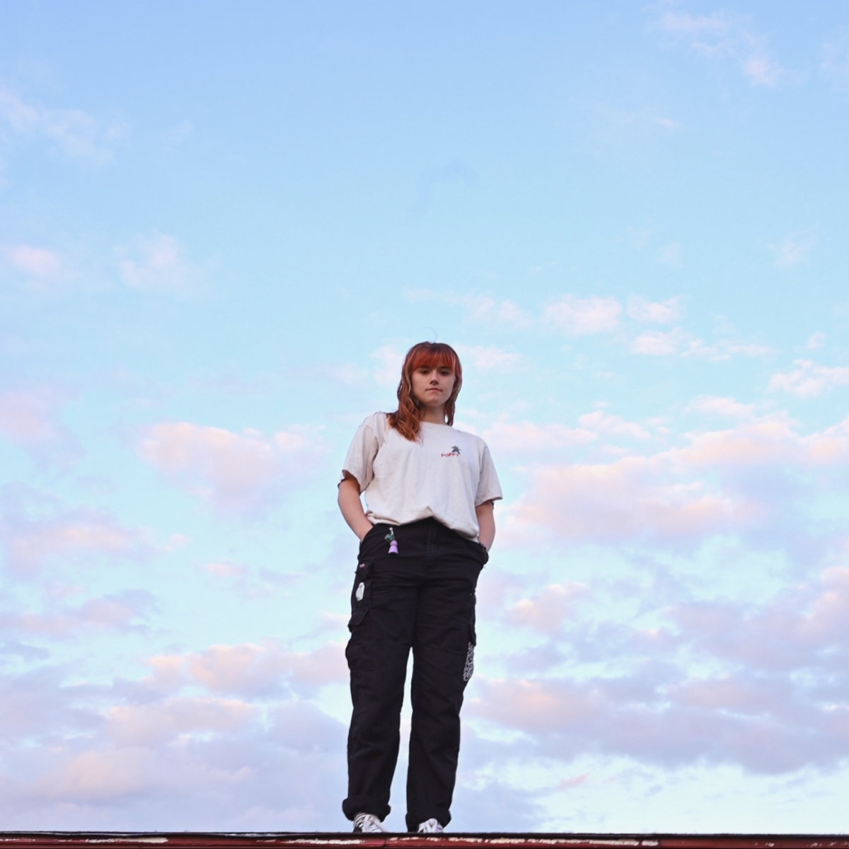 Nico S Red Truck Dijon Cover Sarah Krohn