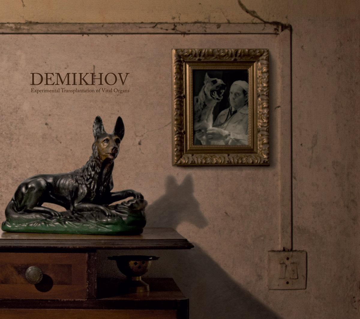 Experimental Transplantation of Vital Organs | Demikhov