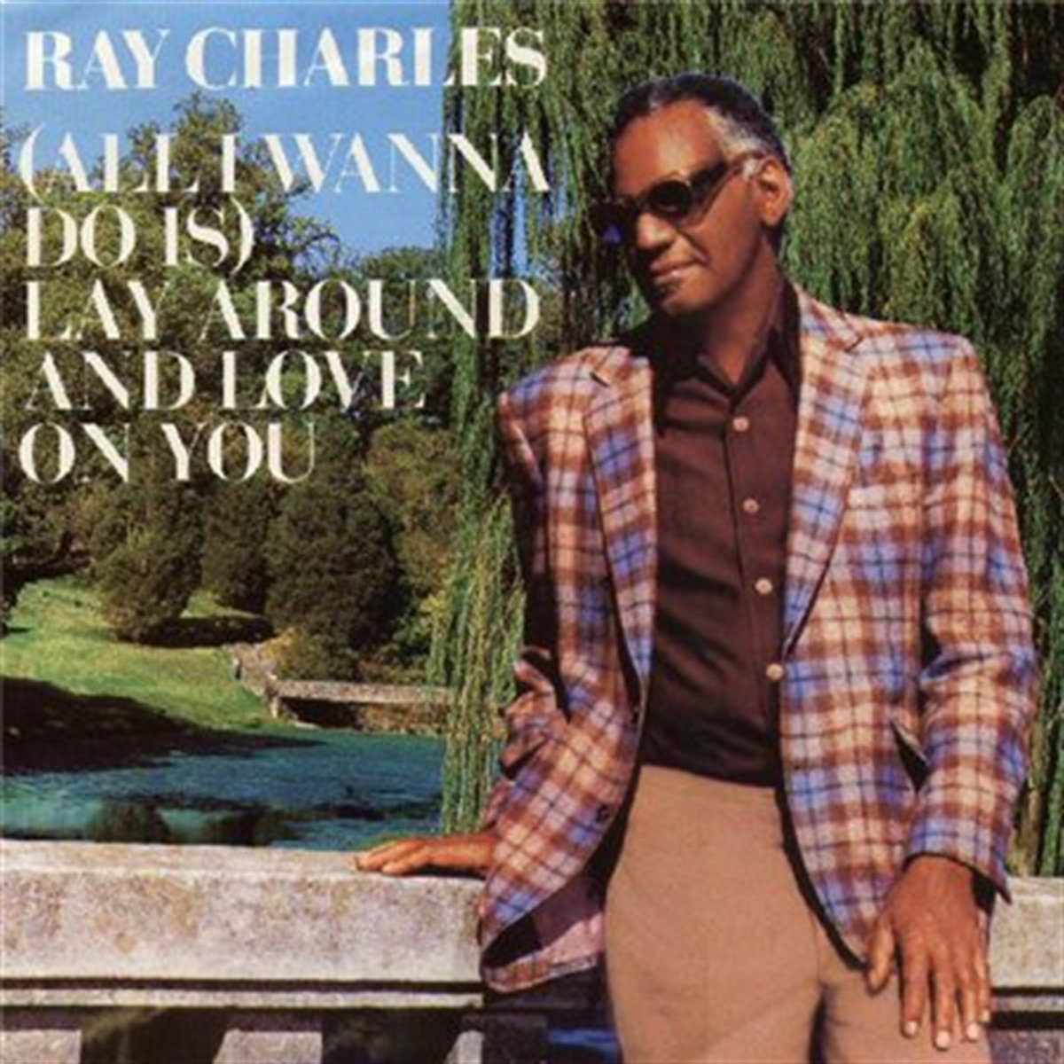 All I Wanna Do Is Lay Around And Love On You | Ray Charles