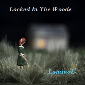 Locked In The Woods cover