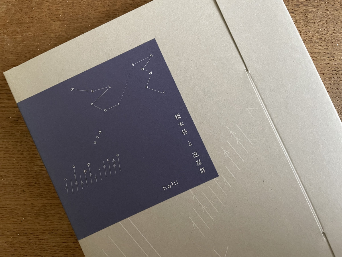 雑木林と流星群 | hofli / Takashi Tsuda | hofli/TakashiTsuda
