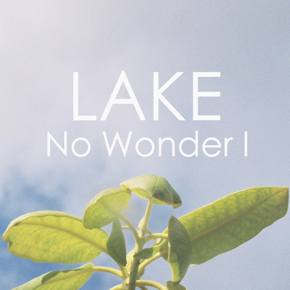No Wonder I Lake