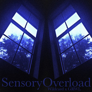 SensoryOverload w/ GRWLWildcard & GRWL cover