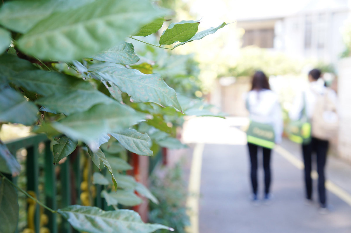 Shakira Whenever Wherever Hd 1080p Download Ncenhusinotwebs Images, Photos, Reviews