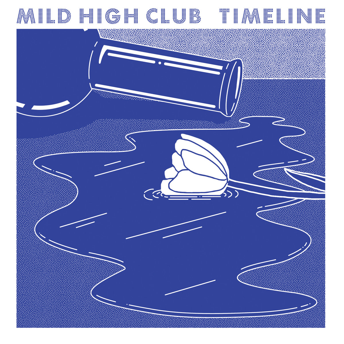 Timeline by Mild High Club