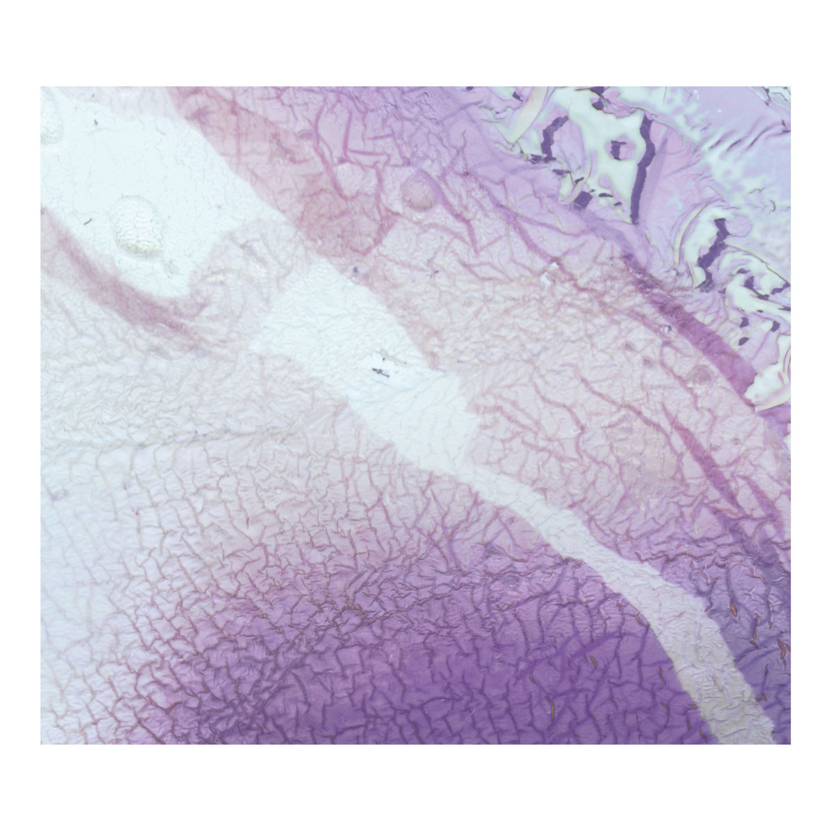 Onde Sinusoïdale Et Bande Magnétique | Tape Loop Orchestra | quiet