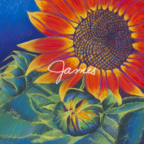 James cover art
