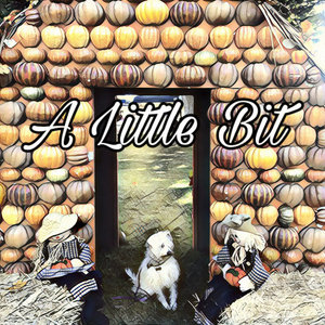 A Little Bit cover