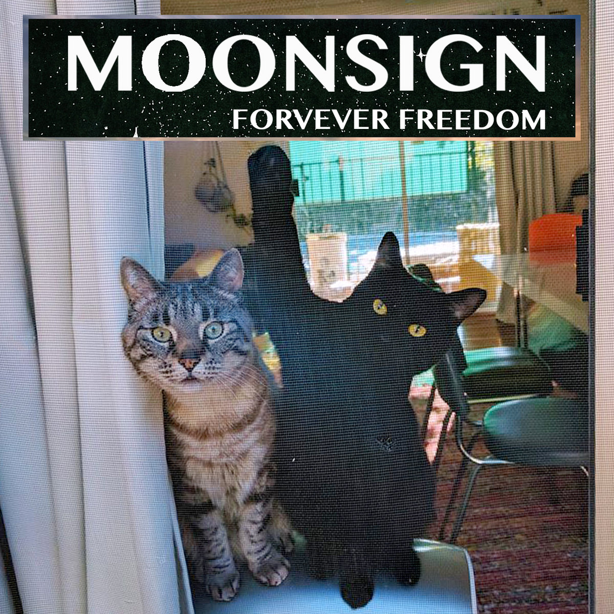 freedom forever freedom forever