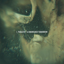 A Diminished Tomorrow cover art