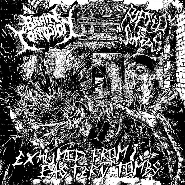 Exhumed From Eastern Tombs | BRAIN CORROSION / RIPPED TO SHREDS | HPGD