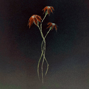 Carcostic (2026) cover
