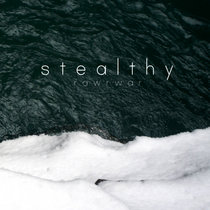s t e a l t h y cover art