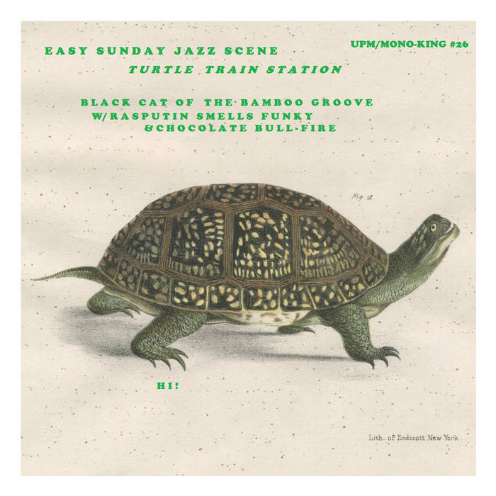 Turtle Train Station The Easy Sunday Jazz Captain Feeney OFFICIAL