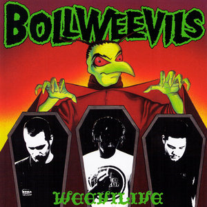 Weevilive cover