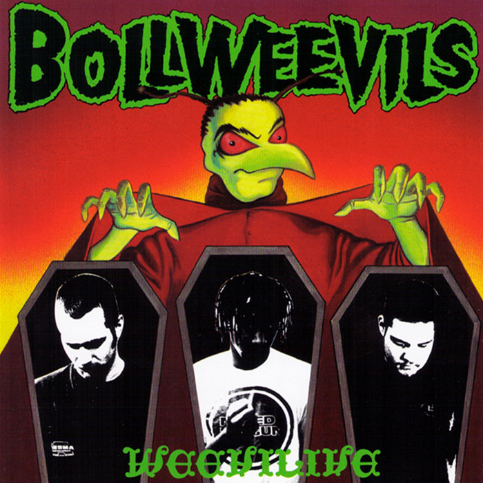 Weevilive | The Bollweevils