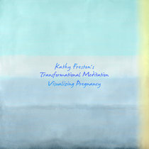 Visualizing Pregnancy cover art