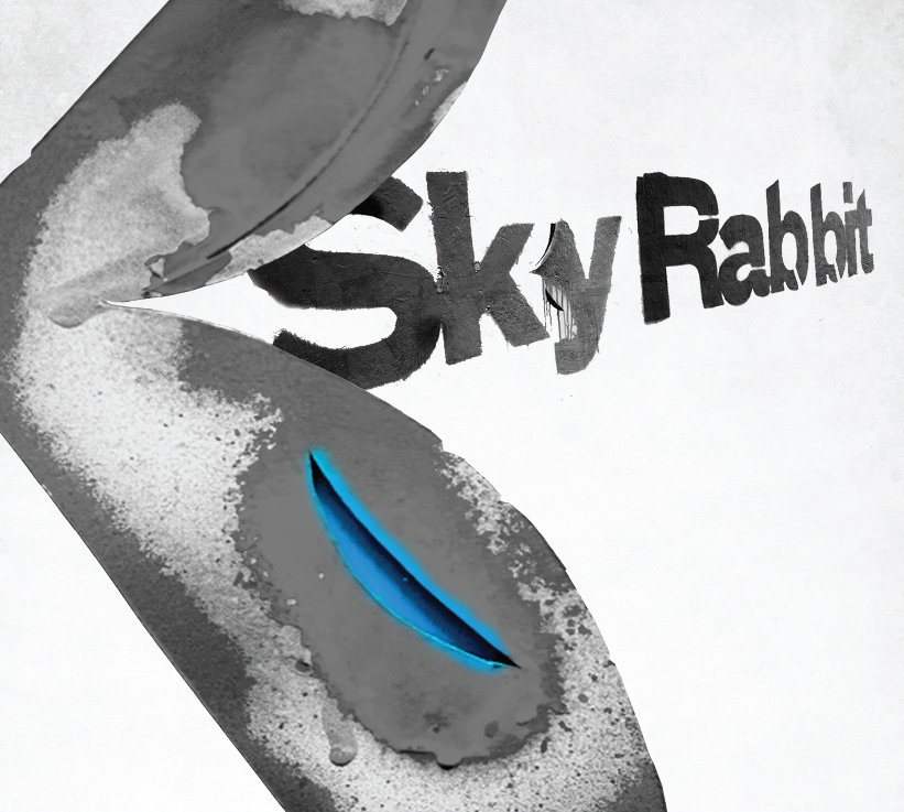 GLOVES – BSRABBIT