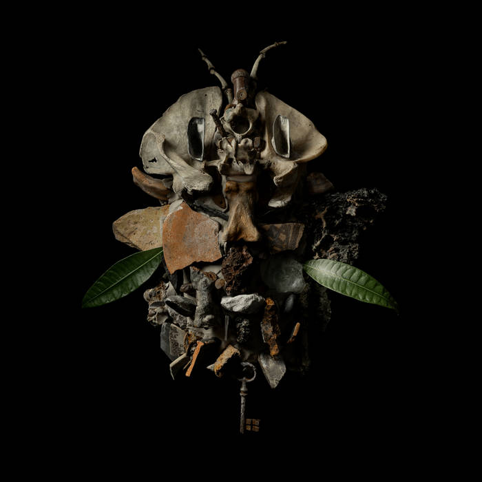 Francesco Fabris - DISPLACES