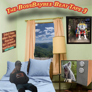 cover art