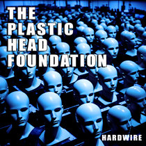 The Plastic Head Foundation cover art