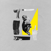 Monkey (Future Feelings Remix) [CLIPP204] cover art