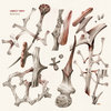 bbuussggaass.bandcamp.com