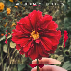 All The Beauty (single) cover