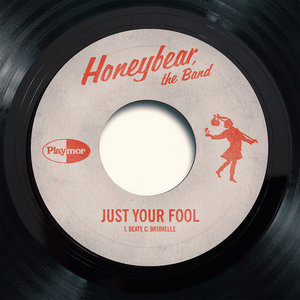 Just Your Fool cover
