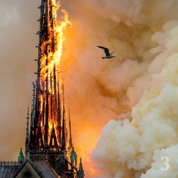 Music and merch tagged westside gunn on Bandcamp