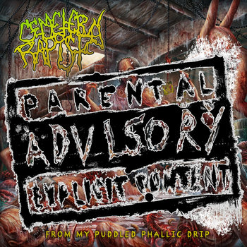 FROM MY PUDDLED PHALLIC DRIP | CEMETERY RAPIST | Vile Tapes Records