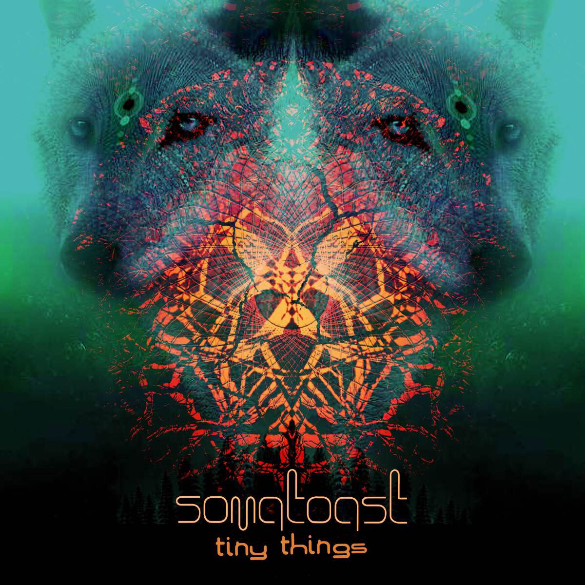 Somatoast - Tiny Things (DRRTYWULVZ Remix) album cover