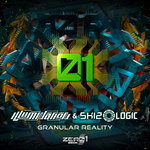 Illumination & Skizologic - Granular Reality